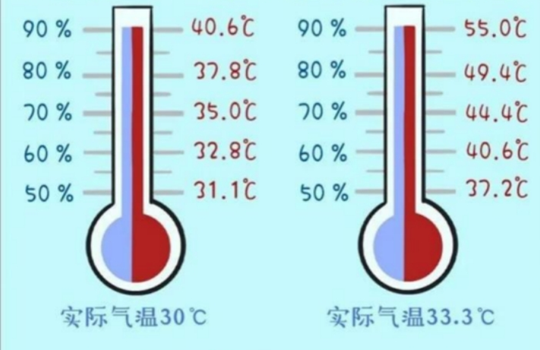 거리에서 측정한 온도 50℃, 일기예보는 39℃… 왜 ‘온도차’ 있을가?