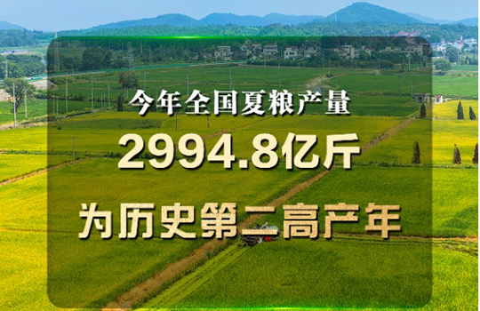 올해 전국 여름량곡 수확량 2994억 8000만근