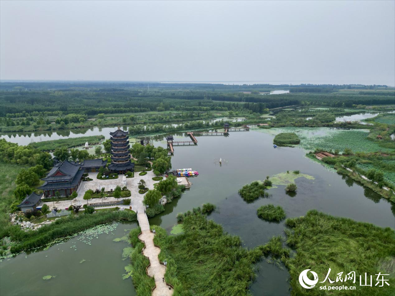 맑은 물과 푸른 강변, 생태가 회복된 후의 동평호명승풍경구이다(인민넷 장윤택 촬영).