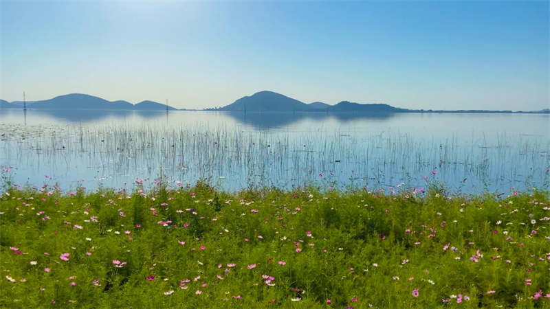 동평호 강변은 푸르고 생기가 넘친다(리옥건 촬영).