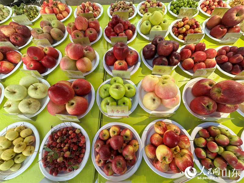 2025년 중국농민풍수절 전국주요활동 시골장터에서 다양한 과일들이 풍성하게 진렬되여있다(인민넷 정흔교 촬영).