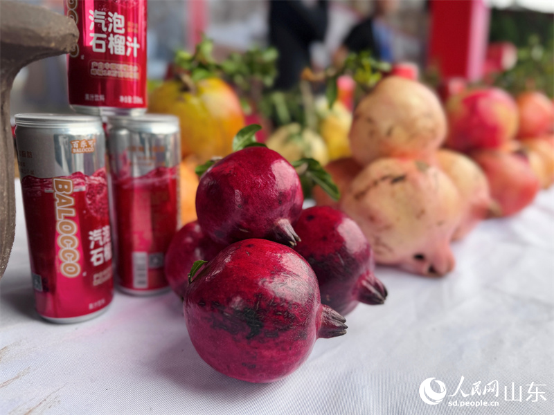 2025년 중국농민풍수절 전국 주요활동 시골장터에서 여러가지 품종의 석류 및 석류 심층가공제품이 전시되였다(인민넷 정흔교 촬영).