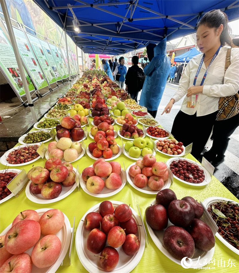 2025년 중국농민풍수절 전국주요활동 시골장터에서 다양한 과일들이 방문객들의 발길을 멈추게 했다(인민넷 정흔교 촬영).