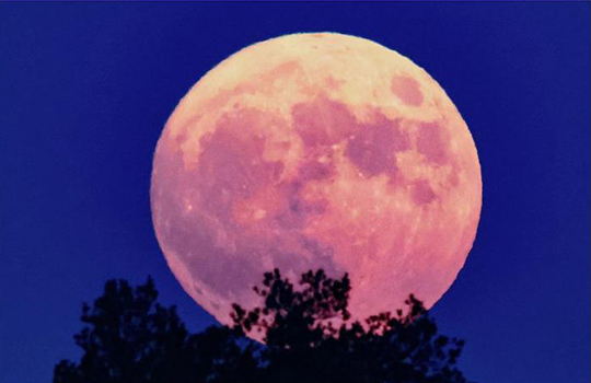 5일 21:19, ‘슈퍼문’ 놓치지 말 것!