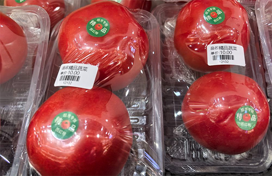 도마도 ‘몸값 폭등’! 언제 내릴가?