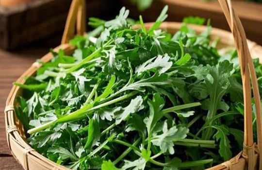 칼시움보충 ‘황금기’, 봄철 식단가이드!