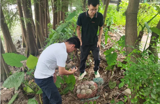  광주 도심에서 완전한 공룡알화석 발견