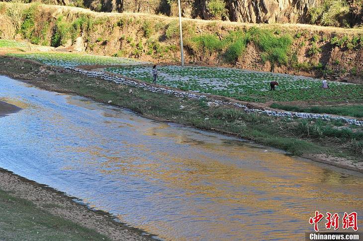 금사강 1급지류 가뭄으로 거의 단류, 강바닥이 채소밭으로