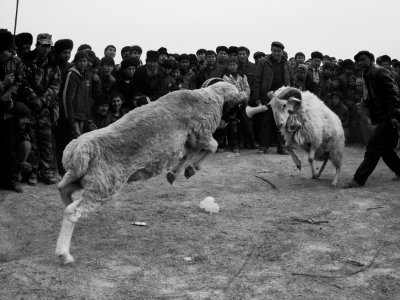 维吾尔民间叼羊比赛