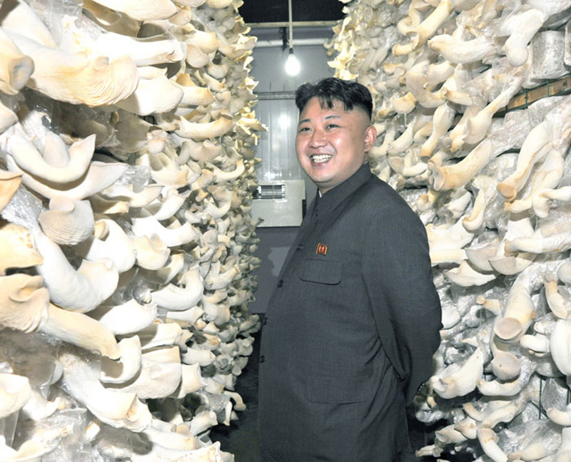 김정은 버섯공장 시찰, 조선을 “버섯의 나라”로 만들것을 요구