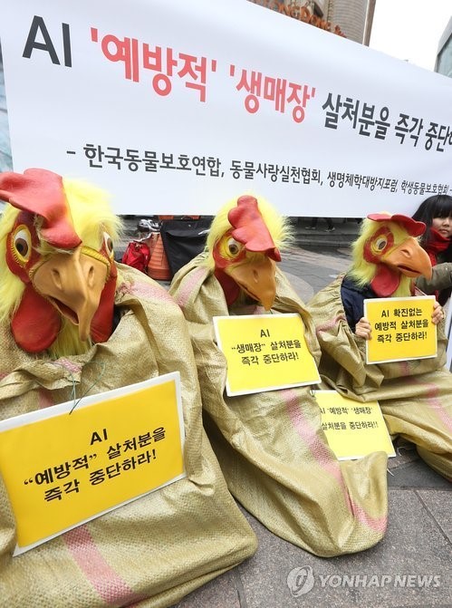 한국동물보호협회:“가금류 도살조치 중단”할것을 계속 호소
