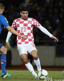 크로아티아 에두아르두


 남미 선수 특유의 개인기와 유연성을 겸비했고 특히 탁월한 골 결정력이 장점으로 평가된다.
2006년 크로아티아 올해의 선수에 뽑혔고 2007년에는 크로아티아 리그 득점왕에 오른 경력이 있다.
