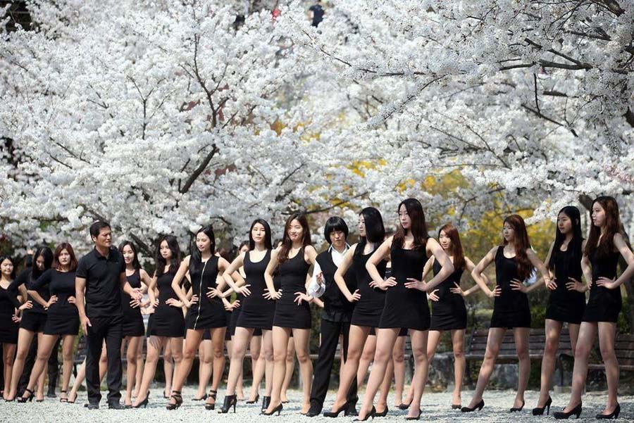 한국 모델 벚꽃나무 아래서 수업, 날씬한 다리 자랑