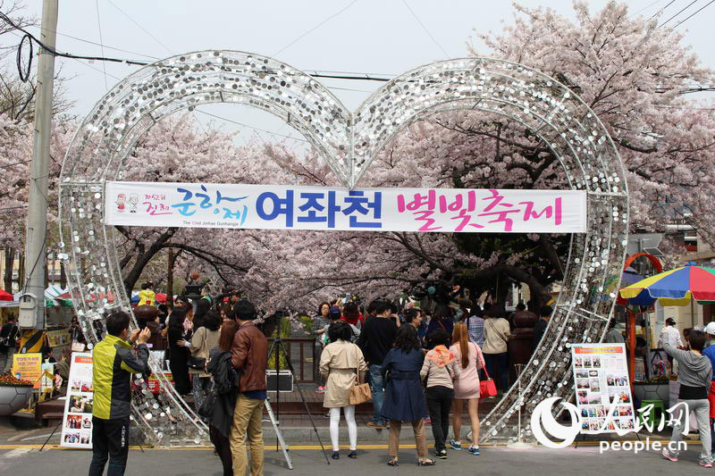 사진으로 보는 한국 “벚꽃의 도시”—창원시 진해구