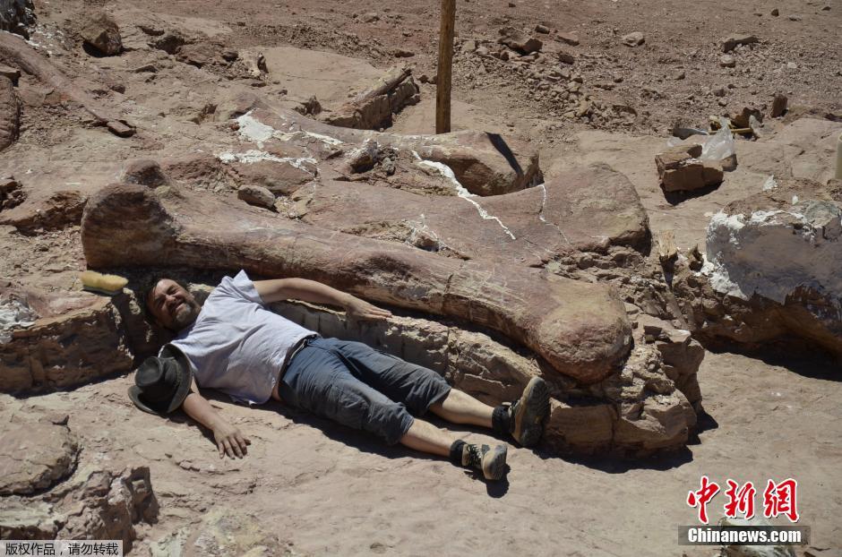 아르헨띠나 세계 최대 공룡화석 발견