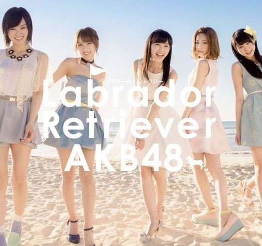 일본 걸그룹AKB48 피습 용의자, '누구든 죽이려 했다'