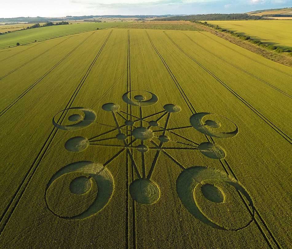[포토] 영국 2014년 첫 밀밭 신비도안, 길이 약 122m