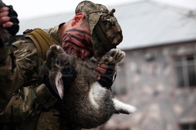 토끼 산채로 뜯어먹는 용맹한 아르메니아 특종병