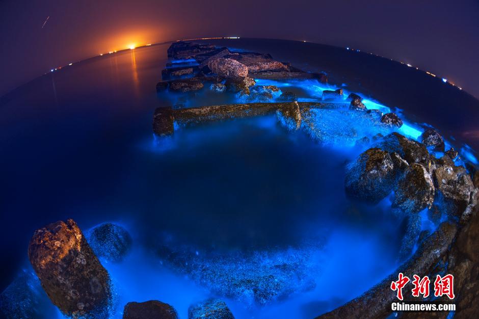 산동 동영 남빛 “형광바다”, “아바타세계” 방불케 해