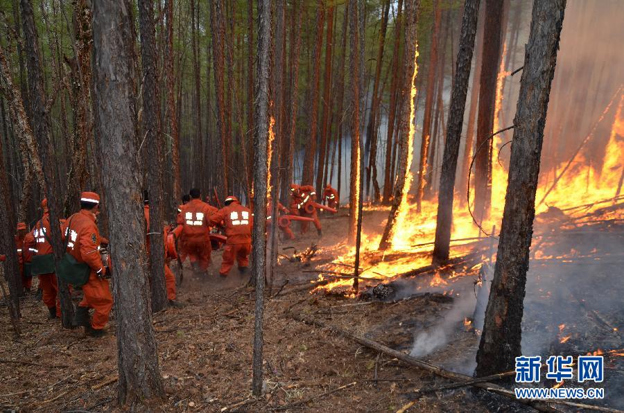 대흥안령 삼림지역에서 삼림화재 발생