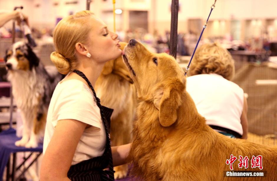 휴스턴 '세계명견전', 귀여운 강아지 만마리 메달 각축