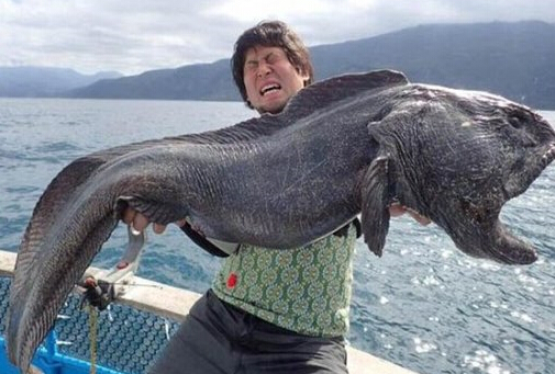 일본 혹가이도서 잡힌 괴물 물고기