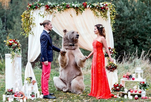 “주례는 곰선생님께서…”세계서 가장 독특한 결혼식