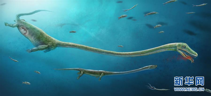 전문가: 2.45억년전 '바다의 패자' 디노케팔로사우루스는 태생동물