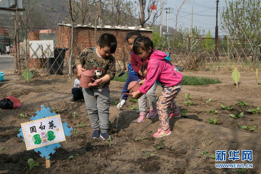 북경: 야채재배 농경체험 