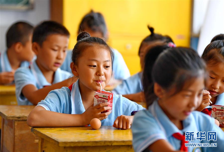 하북: 농촌 소학생 무료 영양식 향유