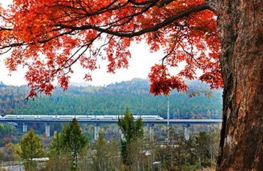 동북의 가장 아름다운 고속철도 인기!